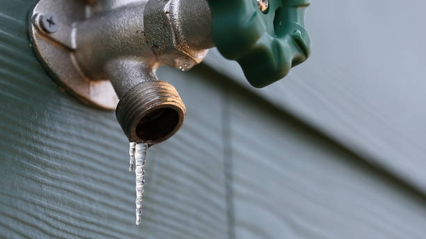 Best Plumbing Inspection Services  in Schoolcraft, MI
