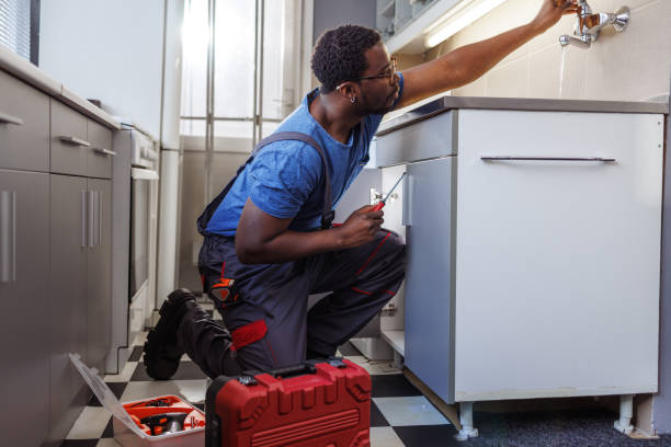 Best Plumbing Services Near Me  in Schoolcraft, MI