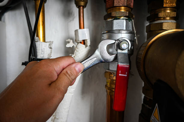 Best Local Plumber Services  in Schoolcraft, MI